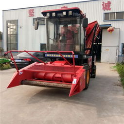 自走式青儲機 現代農業(yè)的高效秸稈收割與青貯解決方案